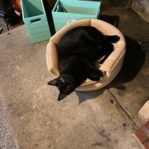 Meet your Posher, Quentin